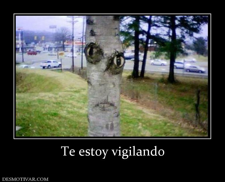 Te estoy vigilando