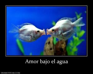 Amor bajo el agua