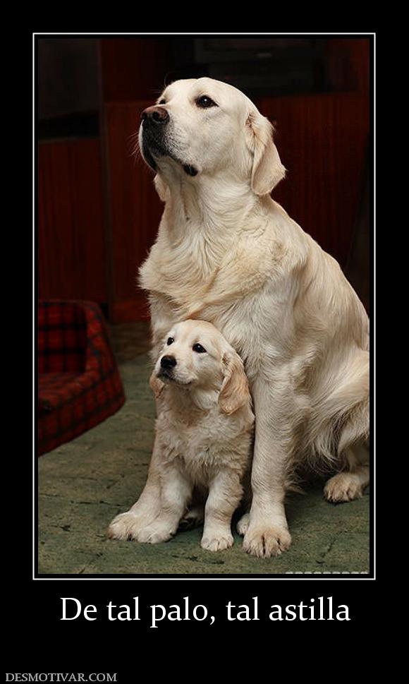De tal palo, tal astilla