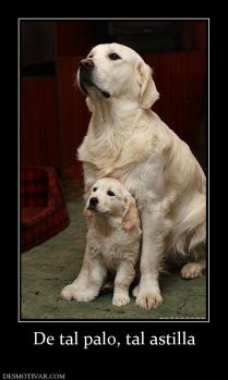 De tal palo, tal astilla