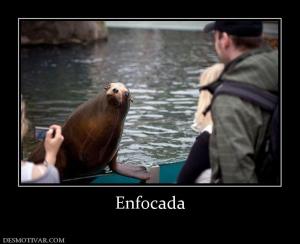 Enfocada