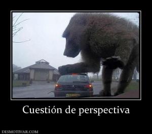 Cuestión de perspectiva