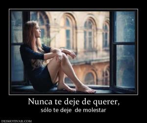 Nunca te deje de querer, sólo te deje  de molestar