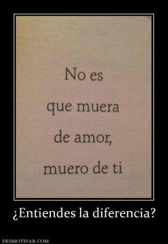 ¿Entiendes la diferencia?