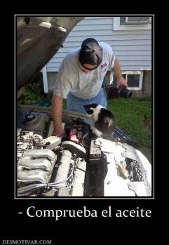 - Comprueba el aceite