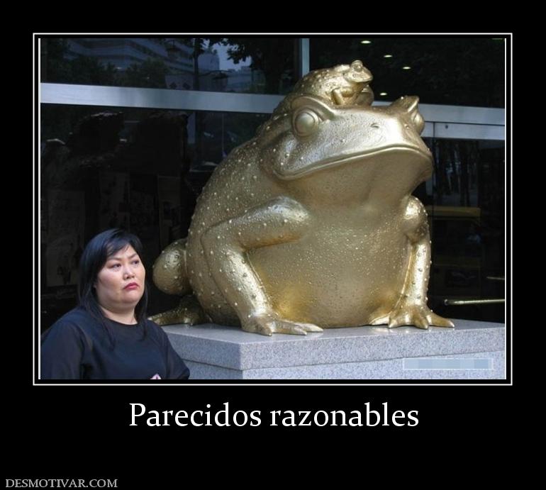 Parecidos razonables