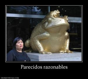 Parecidos razonables