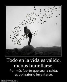 Todo en la vida es válido, menos humillarse.  Por más fuerte que sea la caída, es obligatorio levantarse.