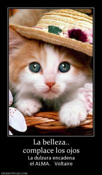 La belleza.. complace los ojos La dulzura encadena el ALMA.   Voltaire