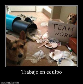 Trabajo en equipo
