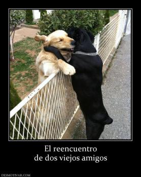 El reencuentro de dos viejos amigos