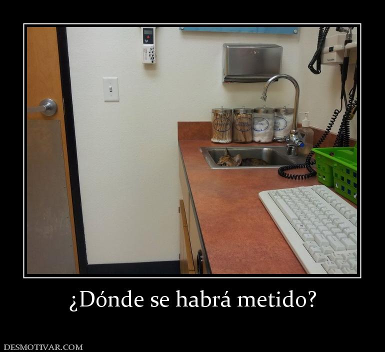 ¿Dónde se habrá metido?