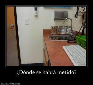 ¿Dónde se habrá metido?