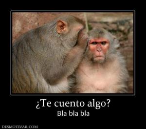 ¿Te cuento algo? Bla bla bla