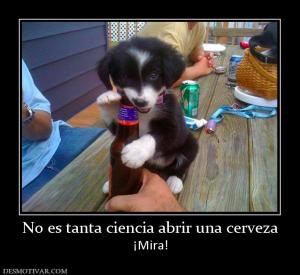 No es tanta ciencia abrir una cerveza ¡Mira!