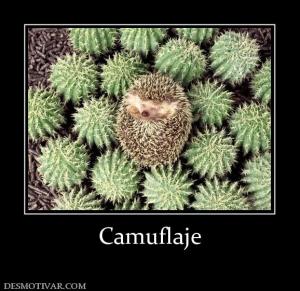 Camuflaje