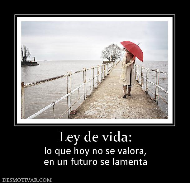 Ley de vida: lo que hoy no se valora, en un futuro se lamenta