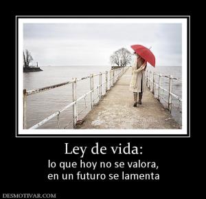 Ley de vida: lo que hoy no se valora, en un futuro se lamenta
