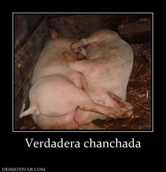 Verdadera chanchada