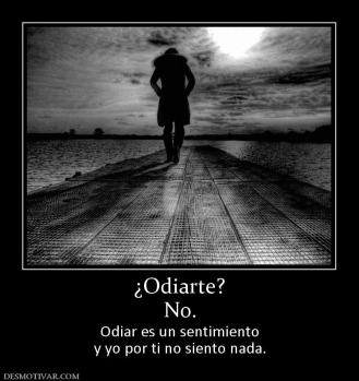 ¿Odiarte? No. Odiar es un sentimiento y yo por ti no siento nada.