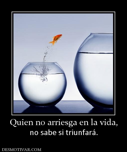 Quien no arriesga en la vida, no sabe si triunfará.