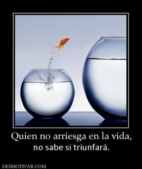 Quien no arriesga en la vida, no sabe si triunfará.