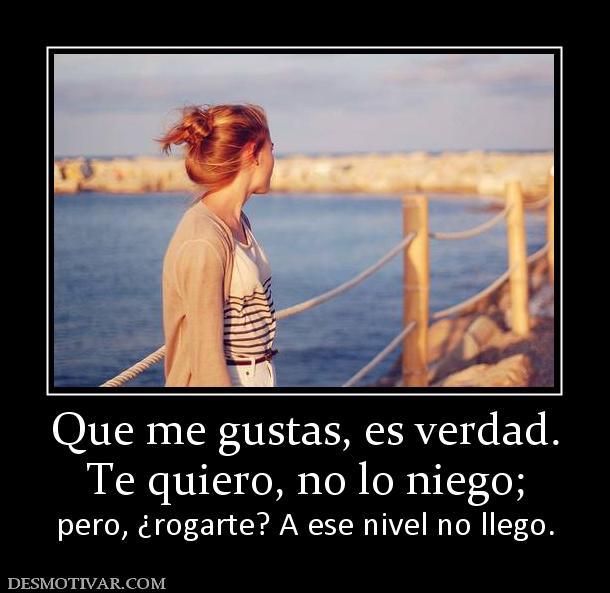 Que me gustas, es verdad. Te quiero, no lo niego; pero, ¿rogarte? A ese nivel no llego.