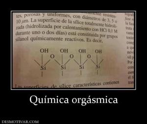 Química orgásmica