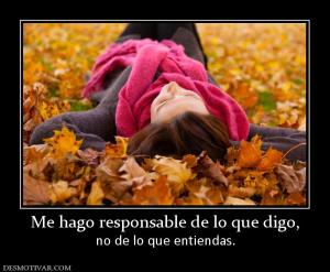Me hago responsable de lo que digo, no de lo que entiendas.