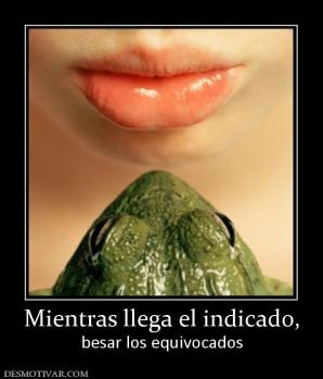 Mientras llega el indicado, besar los equivocados