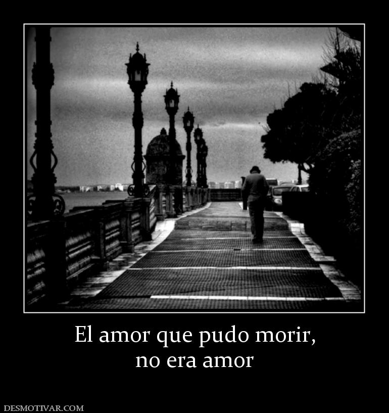El amor que pudo morir, no era amor