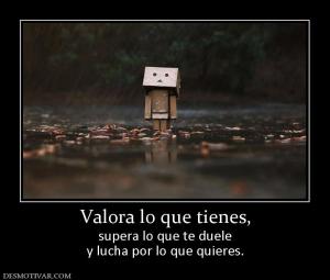 Valora lo que tienes, supera lo que te duele y lucha por lo que quieres.