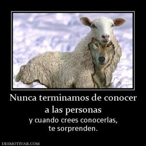 Nunca terminamos de conocer a las personas y cuando crees conocerlas, te sorprenden.