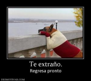 Te extraño. Regresa pronto