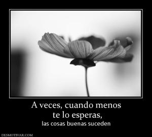 A veces, cuando menos  te lo esperas, las cosas buenas suceden