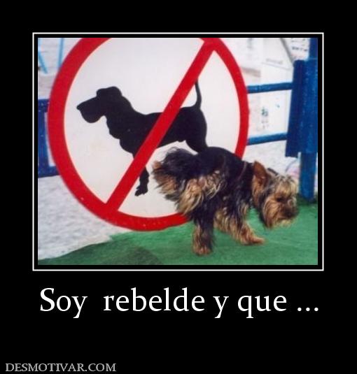 Soy  rebelde y que ...