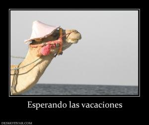 Esperando las vacaciones