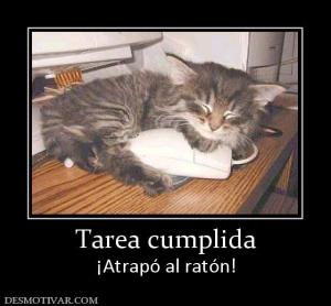 Tarea cumplida ¡Atrapó al ratón!