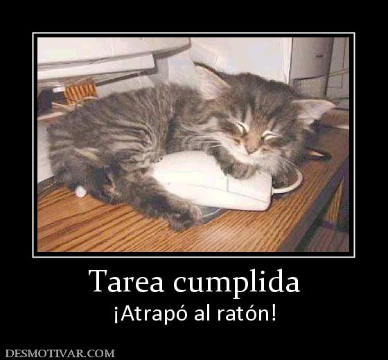 Tarea cumplida ¡Atrapó al ratón!