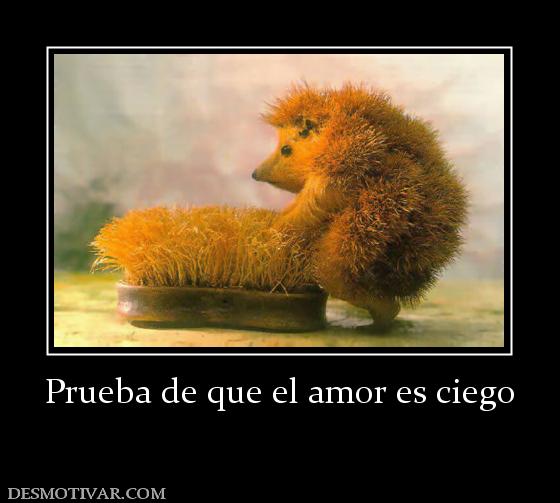Prueba de que el amor es ciego