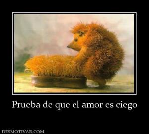 Prueba de que el amor es ciego