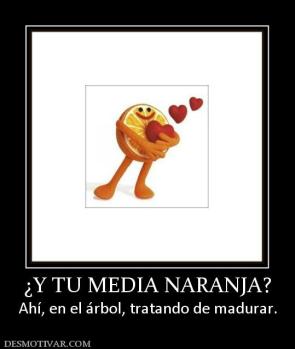 ¿Y TU MEDIA NARANJA? Ahí, en el árbol, tratando de madurar.