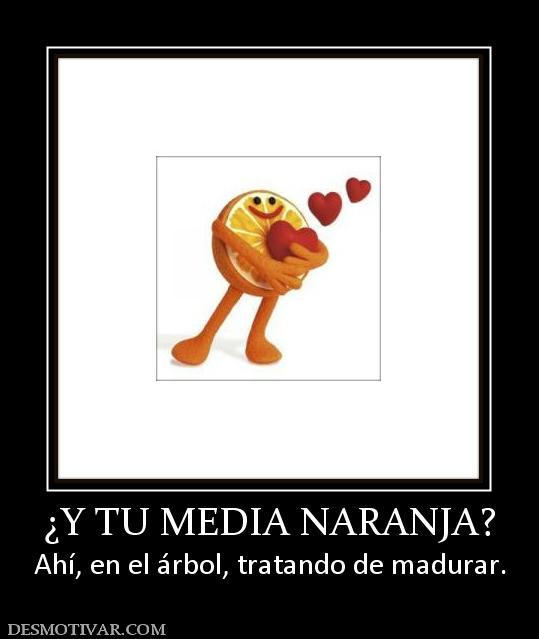 ¿Y TU MEDIA NARANJA? Ahí, en el árbol, tratando de madurar.