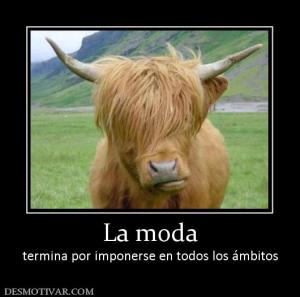 La moda termina por imponerse en todos los ámbitos