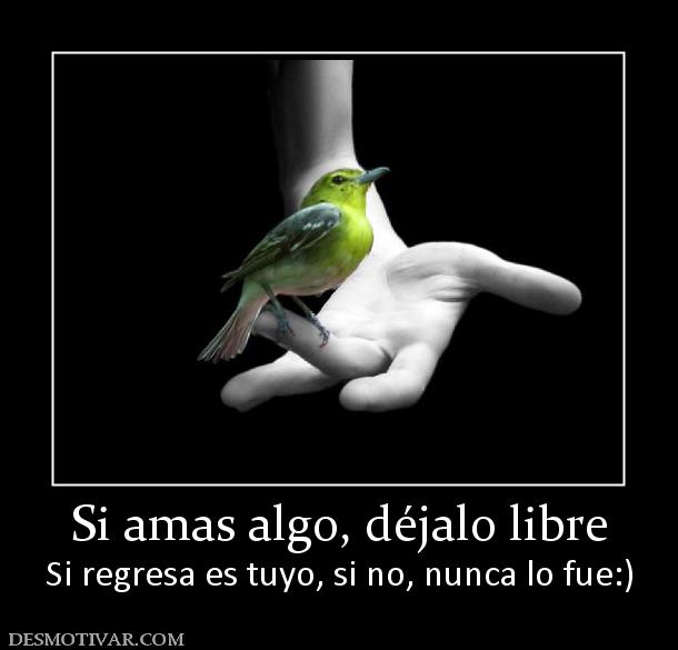 Si amas algo, déjalo libre Si regresa es tuyo, si no, nunca lo fue:)