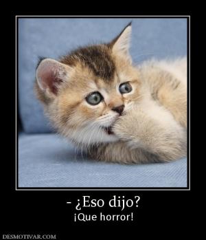- ¿Eso dijo? ¡Que horror!