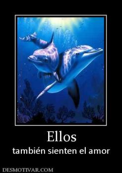 Ellos también sienten el amor