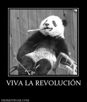 VIVA LA REVOLUCIÓN