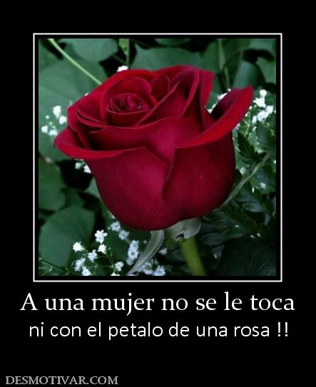 A una mujer no se le toca ni con el petalo de una rosa !!