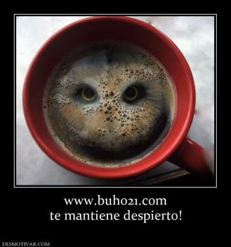 www.buho21.com te mantiene despierto!